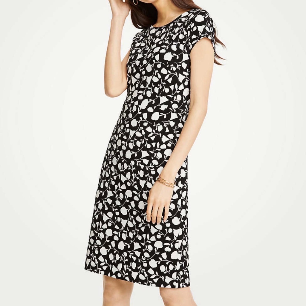 Nwt Ann Taylor Floral Boatneck Sheath Dress Sz Petite 00
